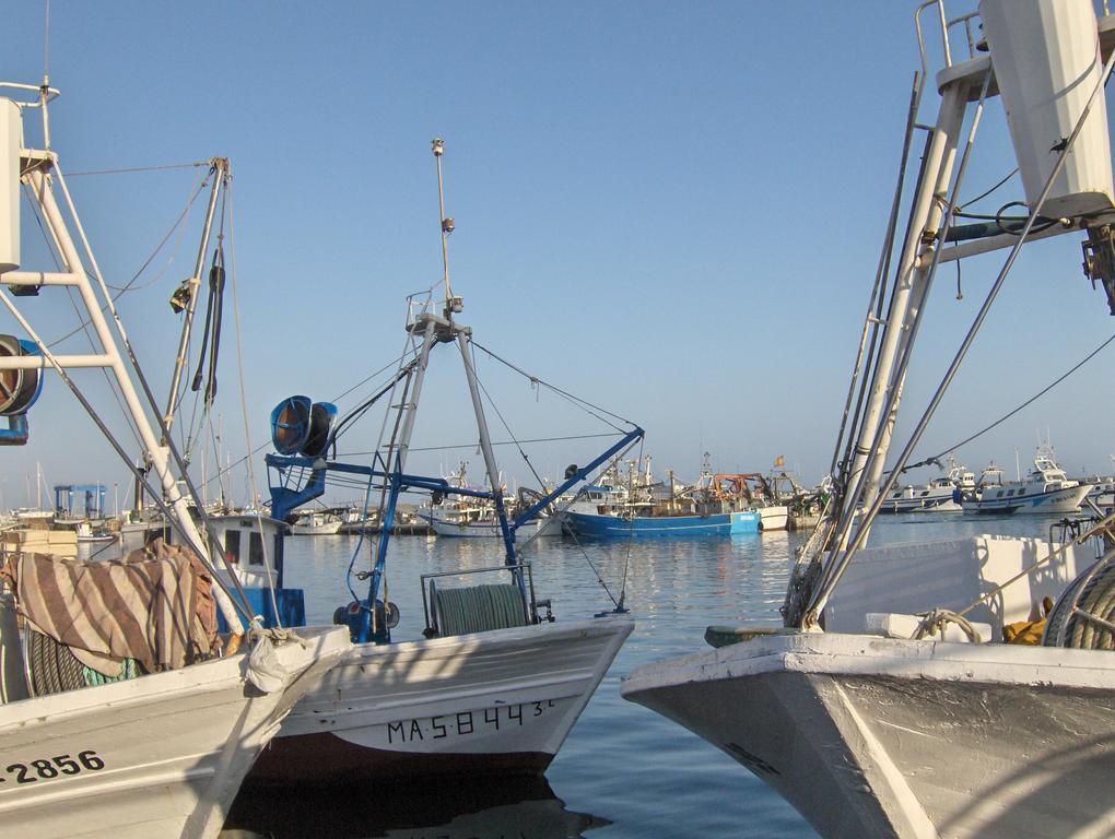 Hotel El Paraiso Caleta De Velez Zewnętrze zdjęcie